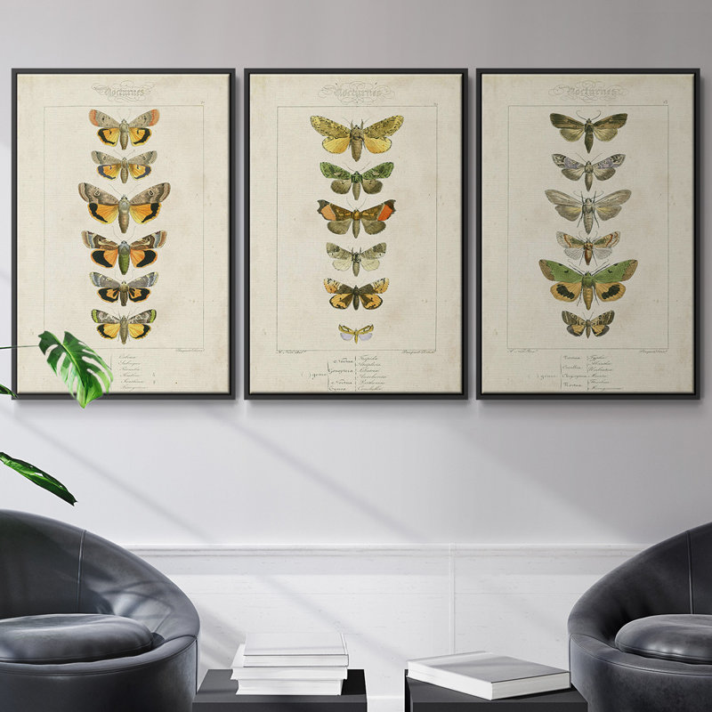 Ensemble de 3 papillons encadrés sur toile,, Noir, H 27 po x l 54 po