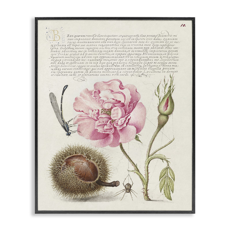 Art antique par estampe numérique par Joris Hoefnagel, Giclée encadrée noir minuit, H 30 po x l 24 po