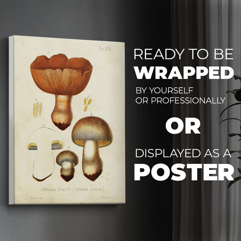 Mushroom Variétés I - Impression sur toile seulement - NON-CADRE, H 27 po x l 18 po