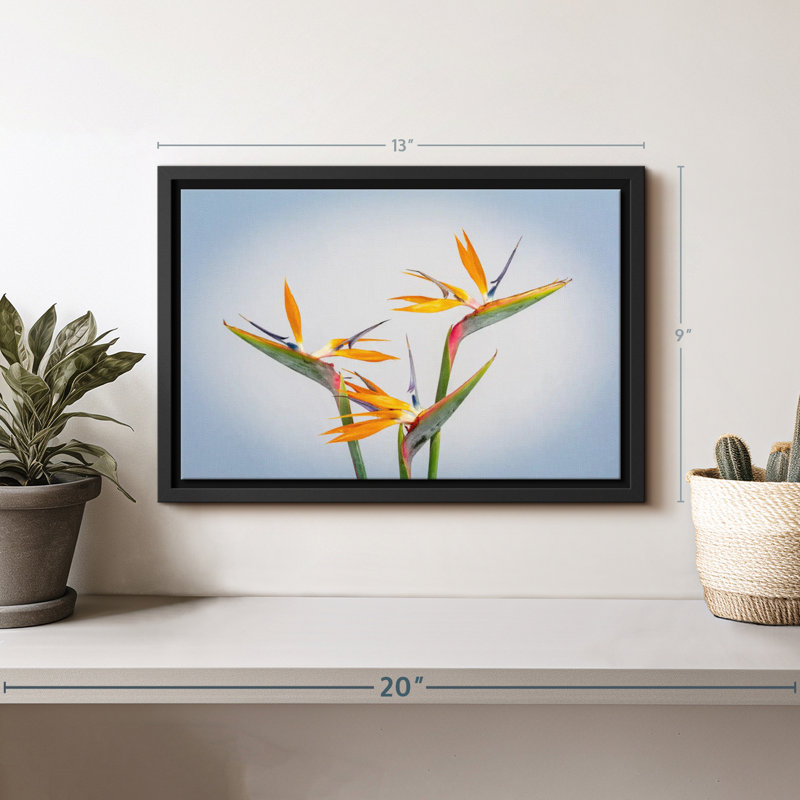 Impression sur toile jaune Strelitzia jaune, H 9 po x l 13 po
