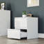 2 Drawer High Gloss Bedside Chest (FSC 100%) Bedroom Home Bedside Furniture-1633544127