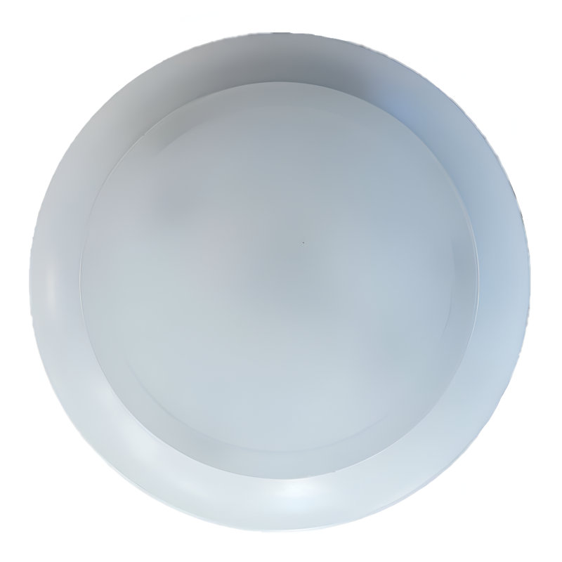 Dimmable Round Flush Mount