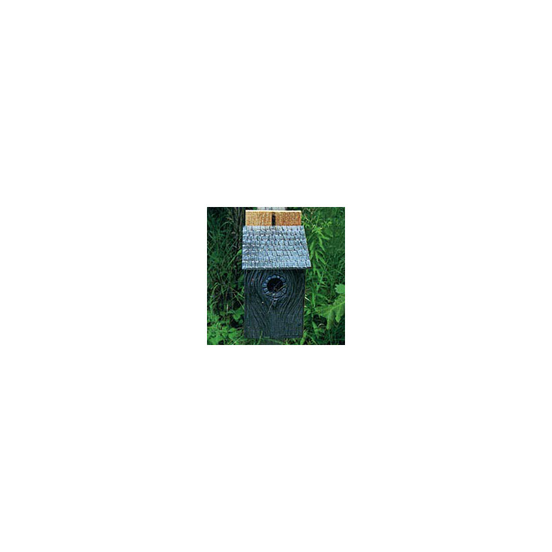 11 in x 8 in x 5 in Bluebird House
