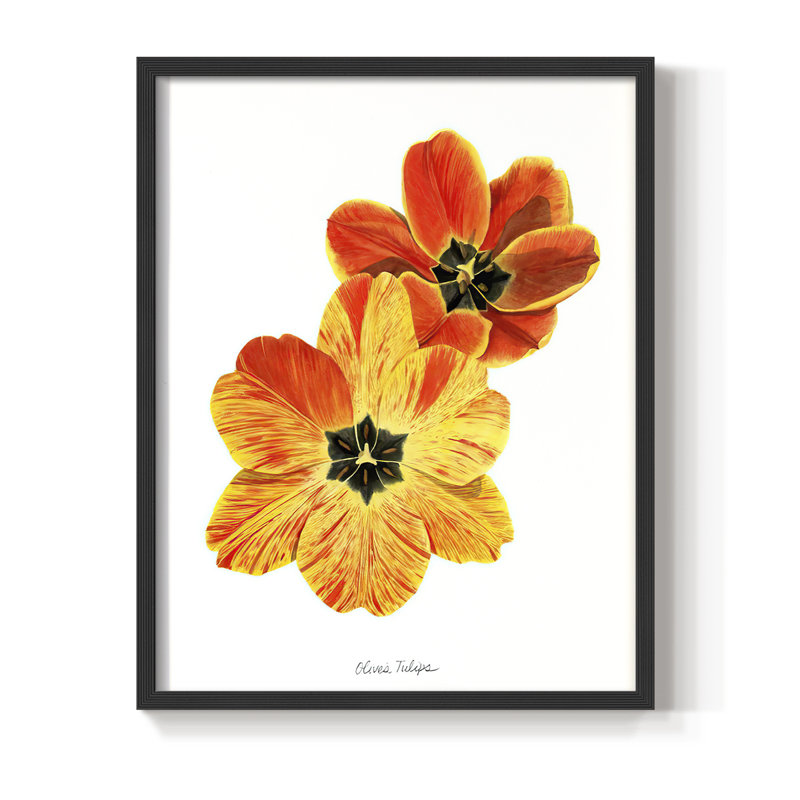 «Olive's Tulips II», reproduction encadrée - bois massif, Cadre simple noir, H 28 po x l 22 po