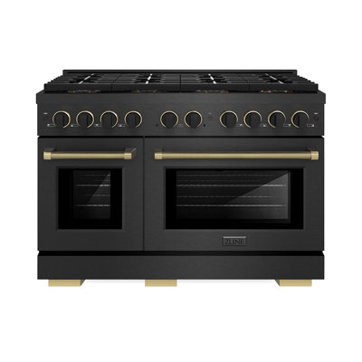 ZLINE 48 in. Paramount Dual Fuel Range with 8 Burner DuoPro Cooktop in Black Satin Stainless Steel