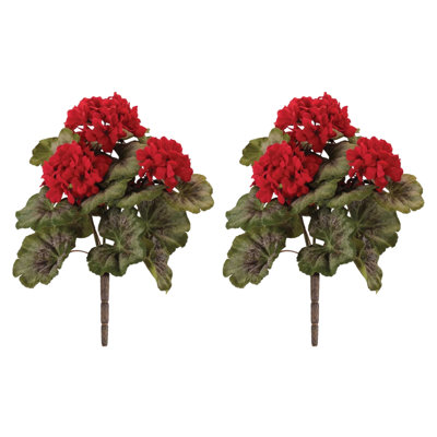 Geranium buisson floral (ensemble de 2)