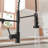 Topcraft Pull Down Single Handle Kitchen Faucet-70533710