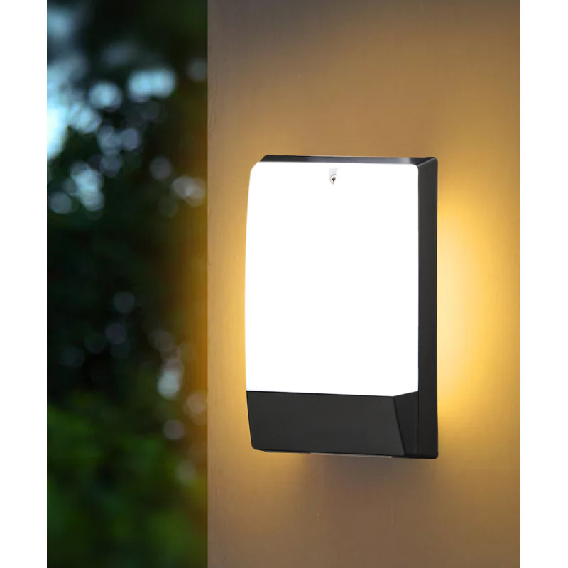 Wall Light