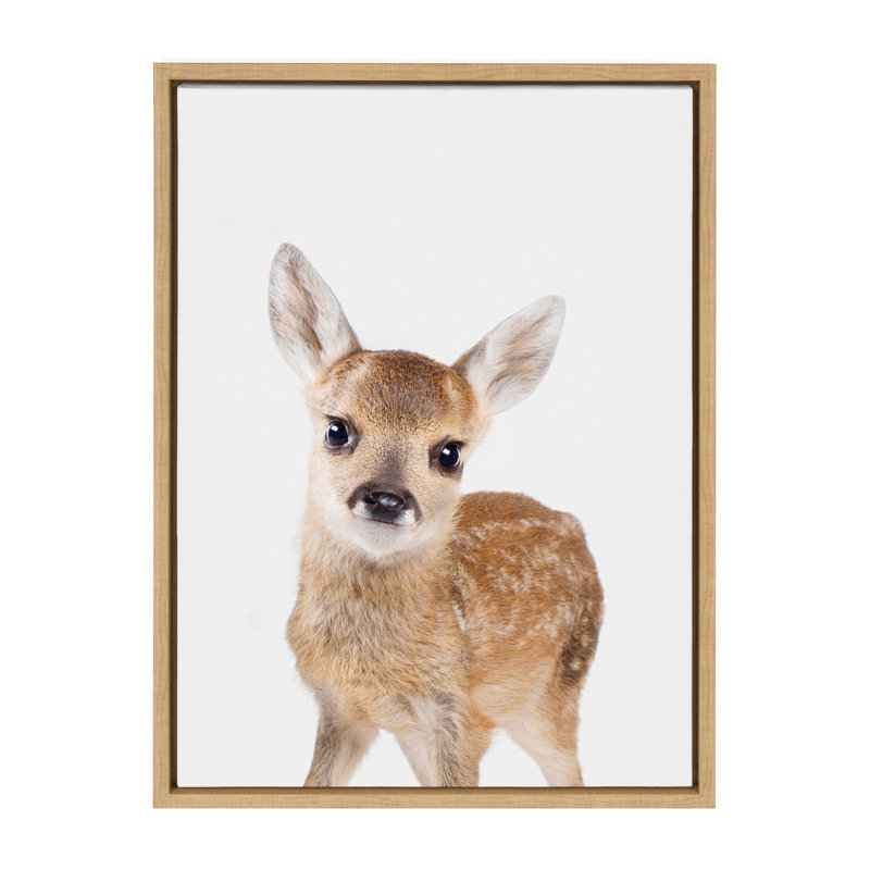 Animal Studio Deer par Amy Peterson, reproduction d'art sur toile encadrée, Naturel