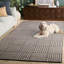 Tapis ivoire / gris foncé touffeté à la main Stockton-1089948527