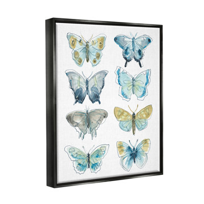 " Varied Butterflies And Moths Insects " by June Erica Vess