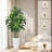 6FT Artificial Dracaena Tree