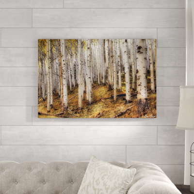 " Aspen Woods " by David Drost
