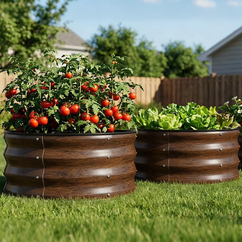  3 Pack Round Raised Garden Bed 2X2x1ft,Galvanized Metal Planter Box Kit For Outdoor Gardening,Vegetable Flower Herb Growing Beds With Gloves Tools,Black