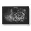 Succulent Plant - Wrapped Canvas-56642927
