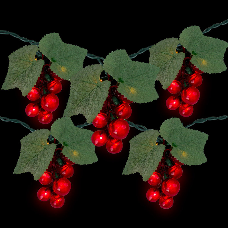 Ensemble de 5 guirlandes de lumières pour terrasse en grappe de raisin rouge 5 fils - fil vert