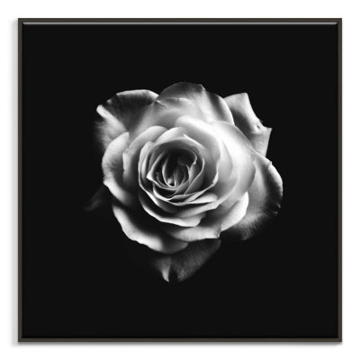 Print on Canvas