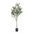 Aarav Faux Olive Tree Tree in Pot-1254011447