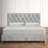Amirah Upholstered Metal Standard Bed-1663613740-1616257073