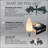 Holiday Lighting-71818304