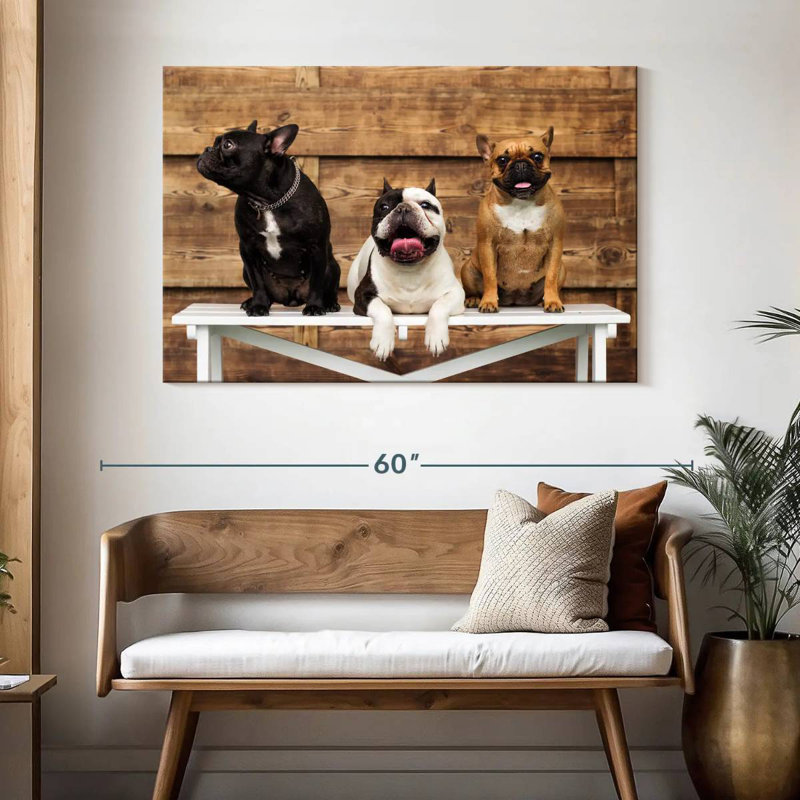 Brampt Bulldog Trio, H 32 po x l 48 po