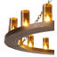 Caviness 16 - Light Chandelier