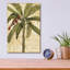 «Royal Palm I» par NBL Studio-1428737832