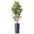 Artificial Tree in Contemporary Blue Stripe Patterned Planter Fake Bamboo Silk Tree-103685653