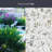 Flight Window Film 24" x 36"