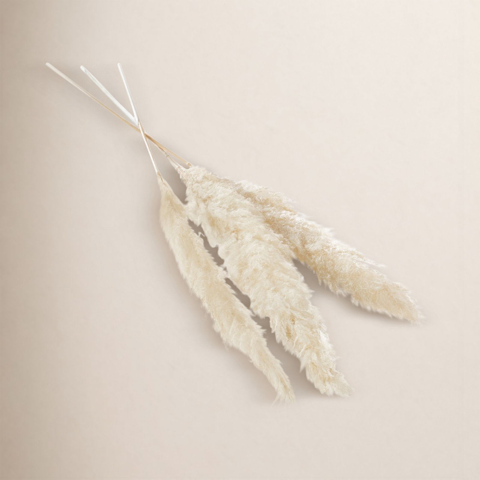 Pampas Grass Arrangement, White