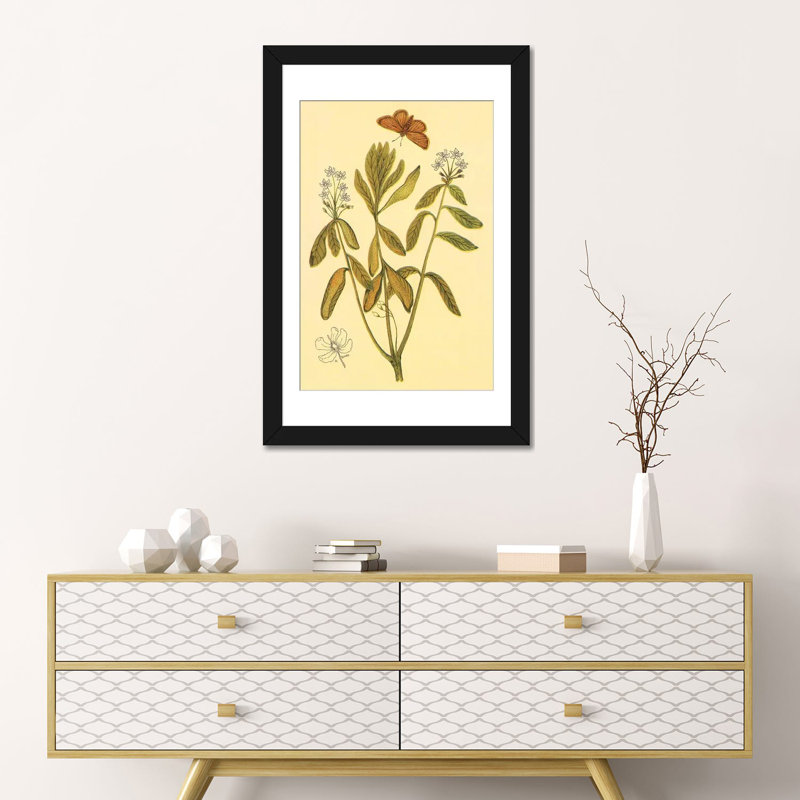 «Labrador Tea», reproduction sur toile, Papier d'art encadré noir, Blanc, H 24 po x l 16 po x P 1 po