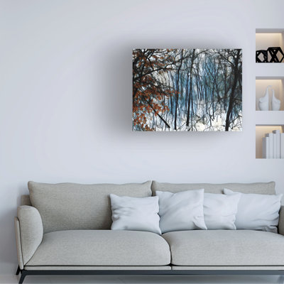 Bolog Tim Nyberg Spring Thaw Canvas Art