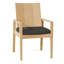 Ashland Patio Dining Armchair with Cushions-749763353-727570218-719472043