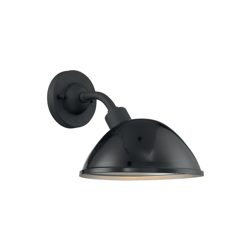 Luminaire de grange d'extérieur à 1 ampoule, Noir lustré / argenté, Noir, H 10,88 po x l 12 po x P 18,5 po
