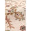 Cobby Oriental Area Rug in Ivory