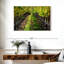 Yarlin Napa Valley Vineyard-111858767