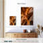 Alvord The Golden Passage Way-108450527