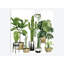 «Plant Haven I», impression sur toile-29283625-74731573-74731578