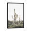 « rosé timide cactus », photographie-43719289-43719294