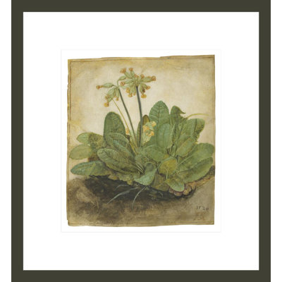 «Touft of Cowslips» par Albrecht Dürer, impression giclée sur cadre