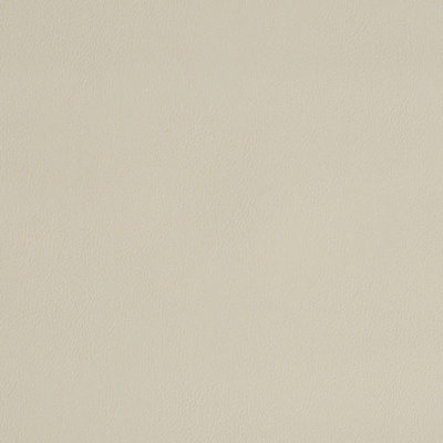Vegan Leather Indoor/Outdoor Fabric
