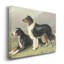 « Sheep dogs »-impression sur toile-1197186174