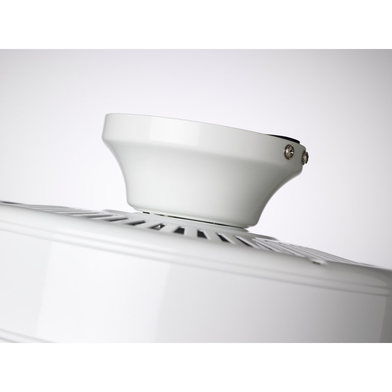 Ventilateur de plafond standard à 5 pales de 50 po avec chaîne de traction et ensemble d'éclairage inclus