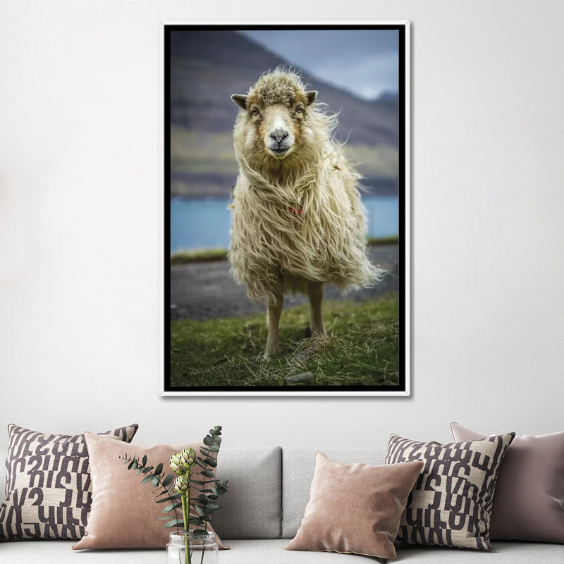The Sheep par Anders Jorulf-reproduction de photo, Toile blanche encadrée, H 60 po x l 40po x P 1,5 po, Pas de tapis