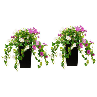 2 Pack Artificial Morning Glory Silk Flowers With Black Pot,Uv Resistant Realistic Fake Flowers Plants For Indoor Outdoor