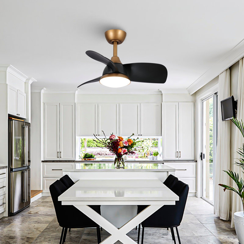 Haywa 28'' Ceiling Fan with LED Lights, Black