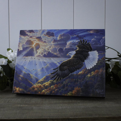 Colten - Toile de table lumineuse 8 x 6 Freedom