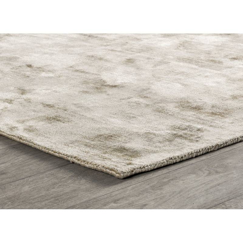 Asman Viscose Indoor Rug, Rectangle  2' x 3'