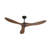 Dorilal 3-Blade Standard Ceiling Fan with Remote