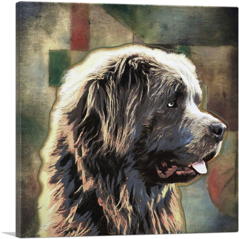 Chien de Terre-Neuve, reproduction d'art sur toile tendue, H 26 po x l 26 po x P 0,75 po
